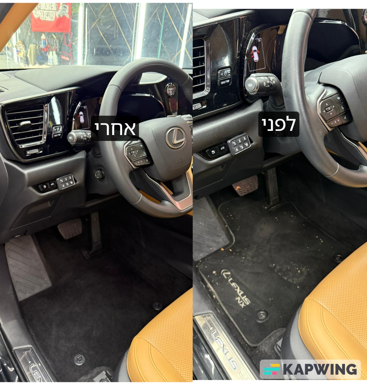 שטיפה בסיסית+הובלה